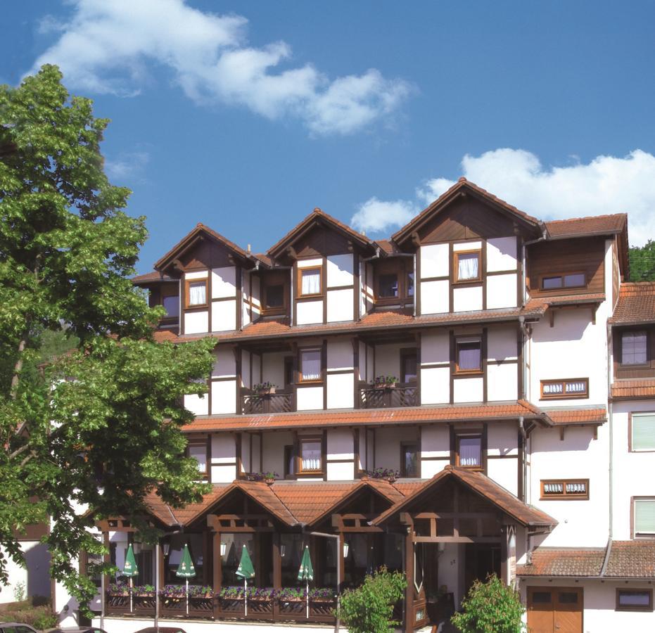 Blick Zum Maimont Hotel Ludwigswinkel Exterior photo